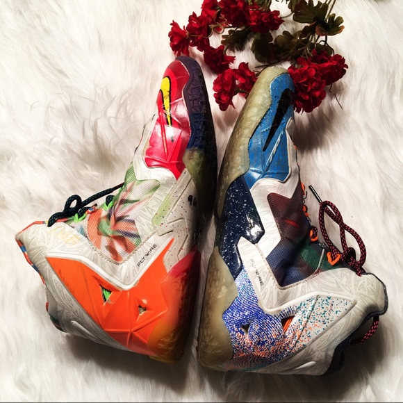 Nike Other - What the lebrons 11s 
